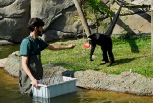 Venezuela y el Centro Greens de la India firman convenio para la modernización de zoológicos y parques de conservación