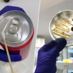 Con microscopia electrónica detectan infinidad de bacterias en bebidas “enlatadas”