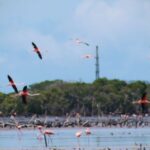 Avavit: el Turismo en Venezuela seguirá creciendo impulsando la economía