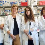 Logran generar células productoras de insulina a partir de piel humana