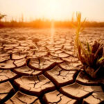 Mucha Atención!… La Tierra acumula un calor récord en 2025: ONU advierte graves consecuencias