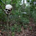 Al menos 400 migrantes murieron o desaparecieron en América en 2025, según la OIM