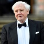 Especial: David Attenborough cumple 100 años como la voz global de la naturaleza