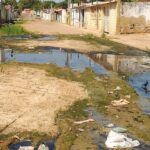La jungla de Di Martino en la parroquia Coquivacoa pide atención gubernamental