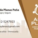 IMPSA proyecta reactivar inicialmente generación de 672 megavatios de electricidad en 19 meses