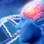 Descubren que la esquizofrenia está asociada a más de 600 genes