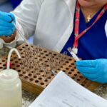 Banco de Sangre optimiza capacidad de atención tras rehabilitación ejecutada por la Gobernación del Zulia