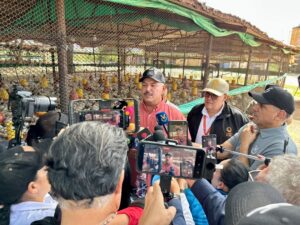 El Zulia produce 1.200.000 kilos de carne de pollo semanal: Gobierno Bolivariano protege y garantiza la producción avícola del sector privado
