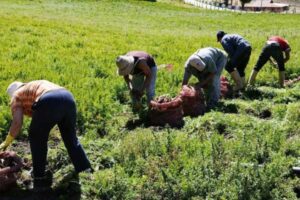 Según ABC: EEUU facilitará a Venezuela importación de alimentos e insumos agrícolas y otorgará financiamiento