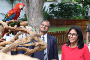 Gremio veterinario exige explicaciones por presuntos traslados de fauna a la India