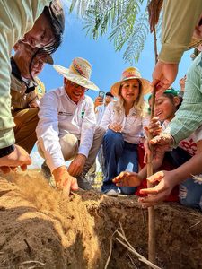 Plantan más de 3 mil árboles en la Vereda del Lago en el marco del Encuentro del Motor Forestal